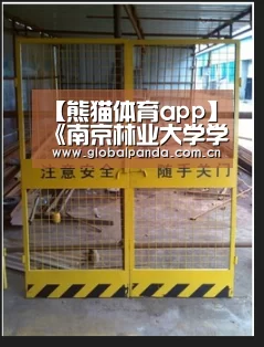 熊猫体育平台