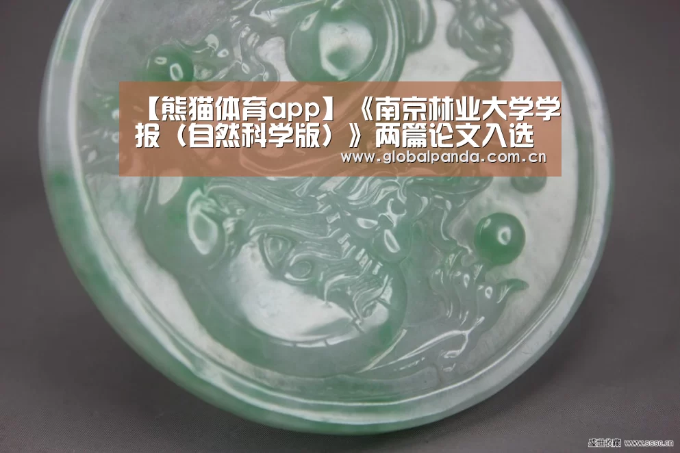 熊猫入口