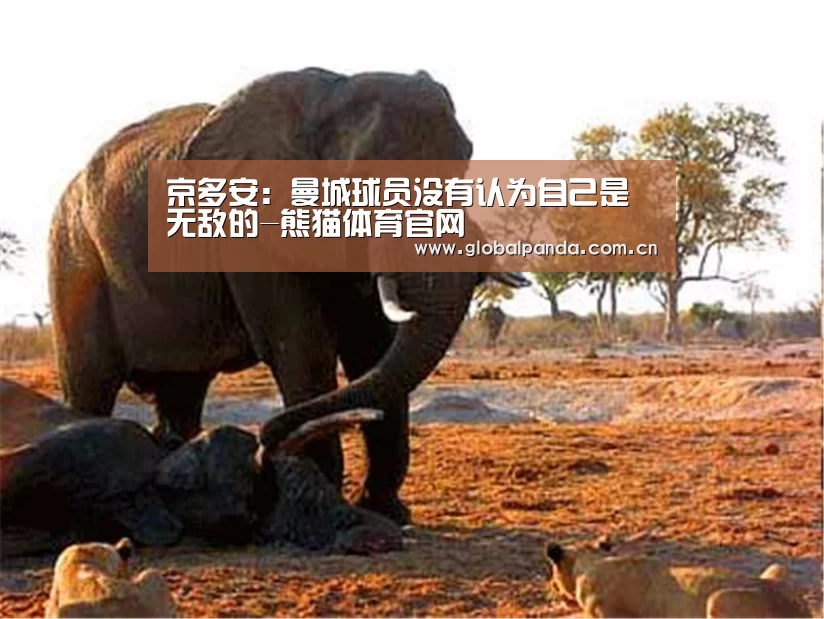 京多安:曼城球员没有认为自己是无敌的-熊猫体育官网(图1) 熊猫体育官网