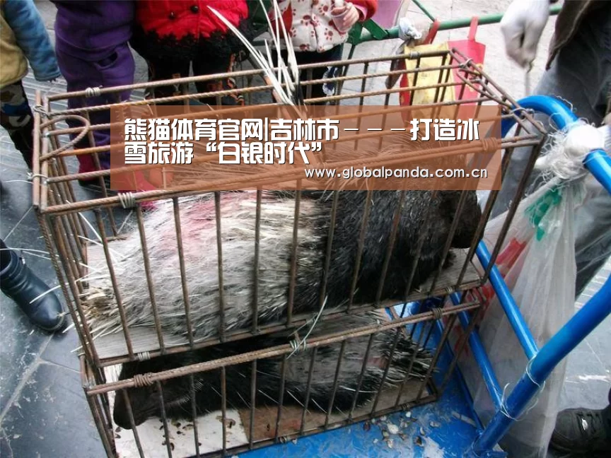熊猫体育官网|吉林市---打造冰雪旅游“白银时代”(图1) 熊猫入口