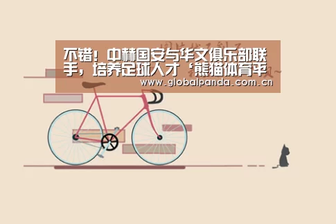不错!中赫国安与华文俱乐部联手,培养足球人才‘熊猫体育平台’(图1) 熊猫入口