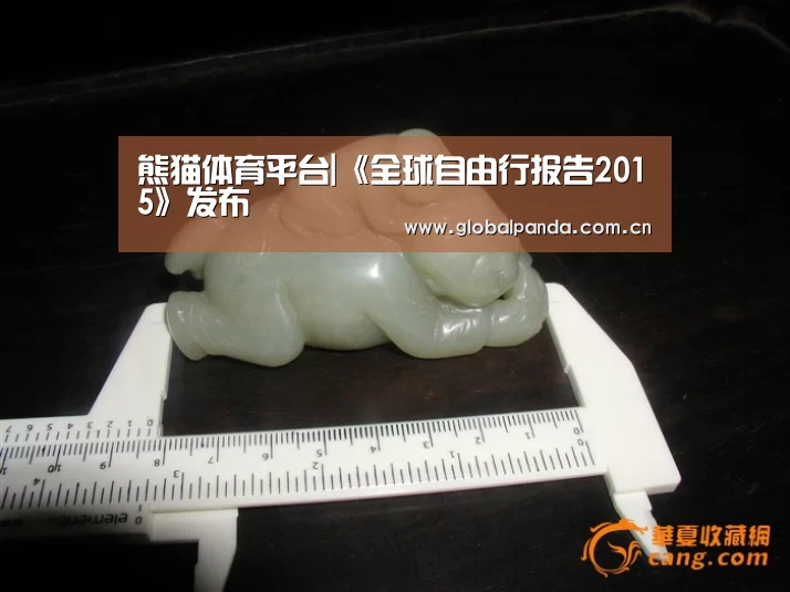 熊猫入口
