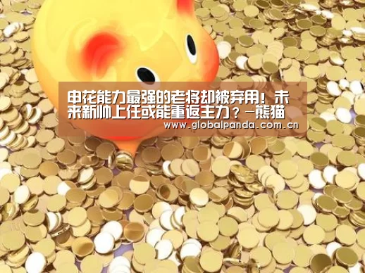 申花能力最强的老将却被弃用!未来新帅上任或能重返主力?-熊猫体育app(图3) 熊猫入口