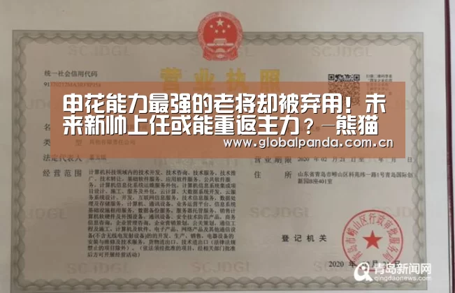 申花能力最强的老将却被弃用!未来新帅上任或能重返主力?-熊猫体育app(图1) 熊猫体育平台